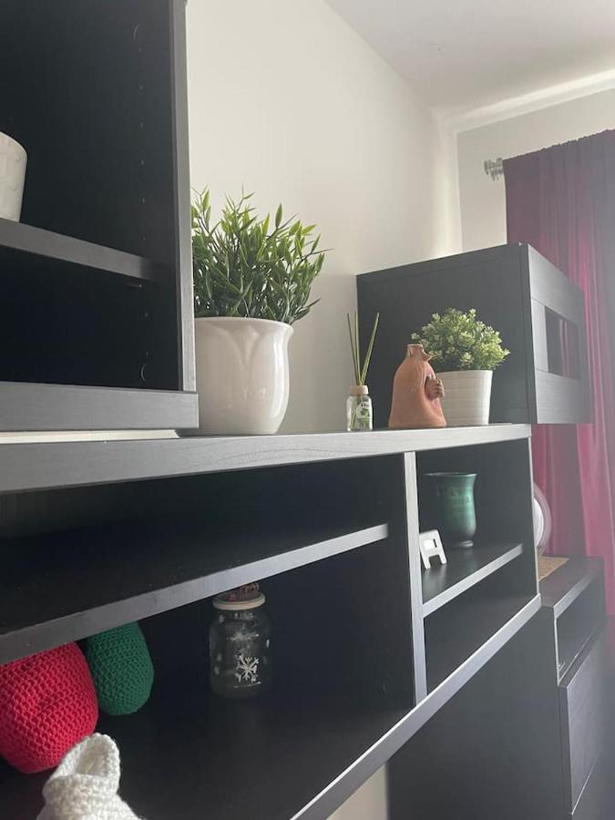 Studio Viva - Cosy Flat In Budapest - Free Parking Экстерьер фото