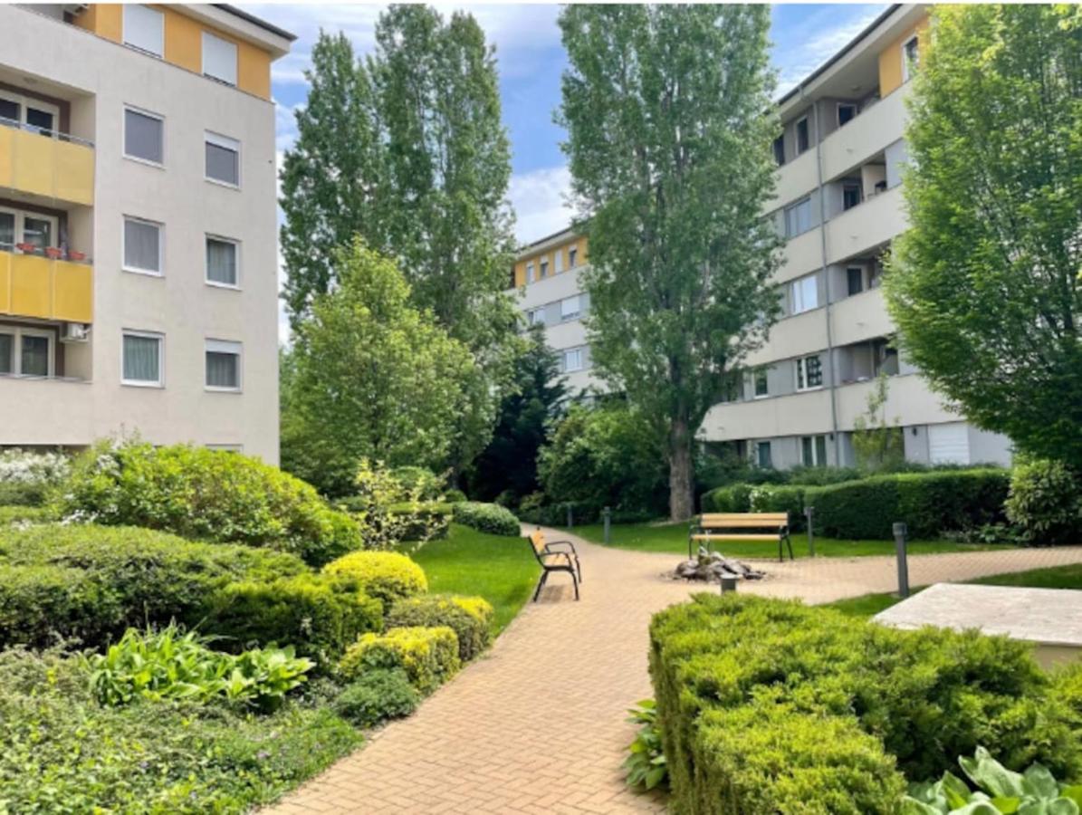 Studio Viva - Cosy Flat In Budapest - Free Parking Экстерьер фото